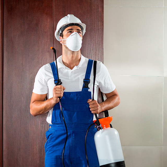 Pest control expert spraying inside a hallway